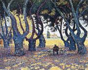 Paul Signac plane trees place des lices oil painting picture wholesale